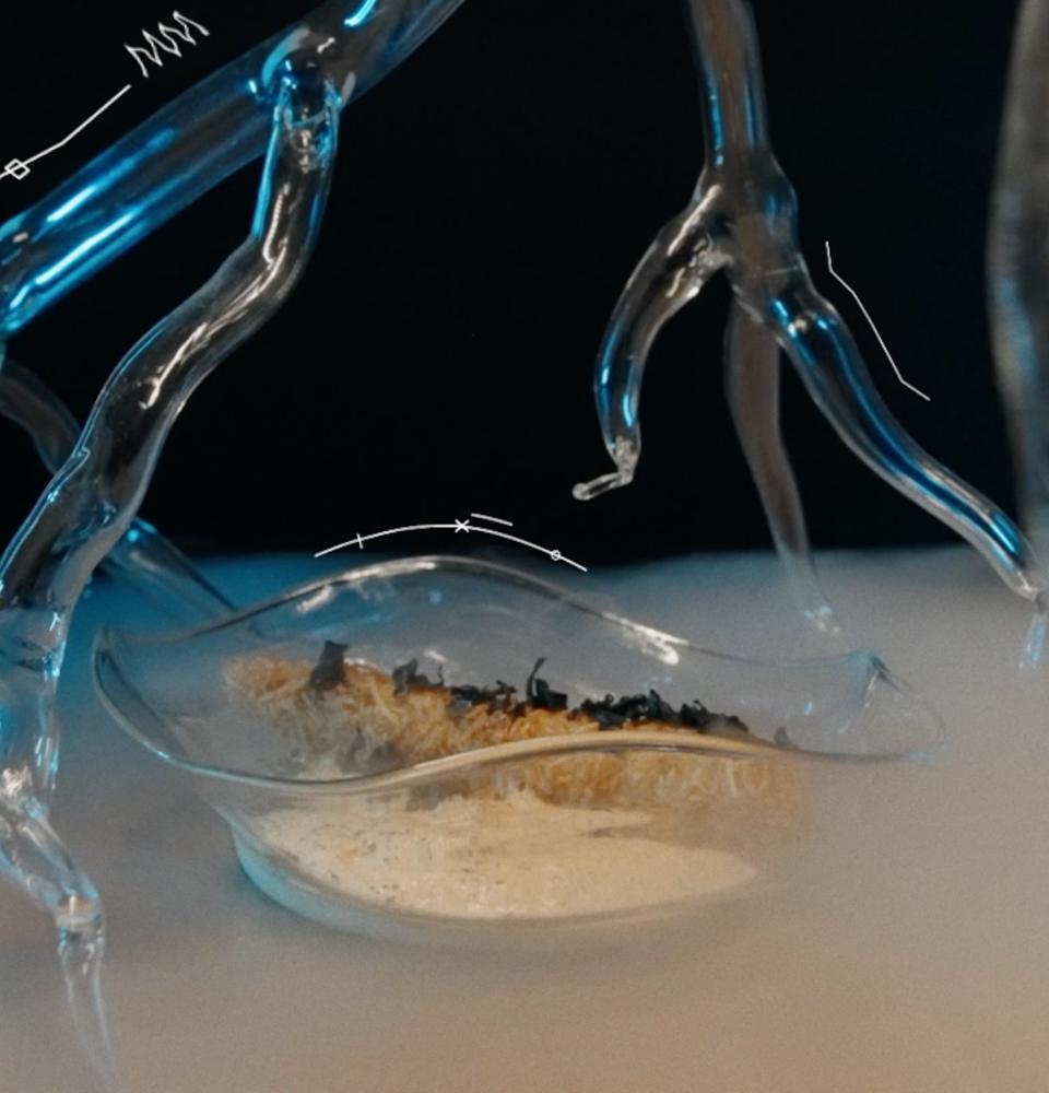 Alimento futuro The Click Clack Hotel Bogotá Alimento futuro The Click Clack Hotel Bogotá